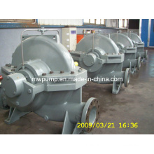 Stainless Steel Pump